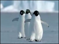 Летящи пингвини - детски сайт Zateeva