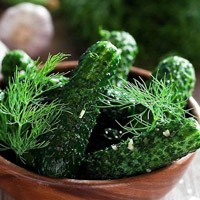 Солени краставици - рецепти за това как да се готви бързо солени краставички