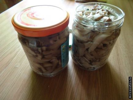 Мариновани стриди гъби, рецепта със снимка (рецепта) Мариновани стриди гъби, рецепта със снимка