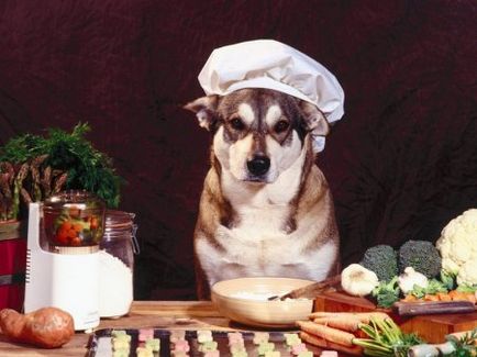 кучето Трябва ли зеленчуци