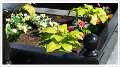 Осъществяване на цветна градина за това какво да засадят цветя, подходящи за гроба