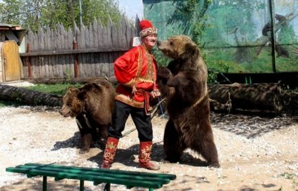 Характеристики на обучение мечки