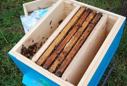 Bee изрезки какви са те, как да се направи звуците на пчелите