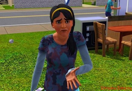 Защо лети Sims 3 и как да се бори