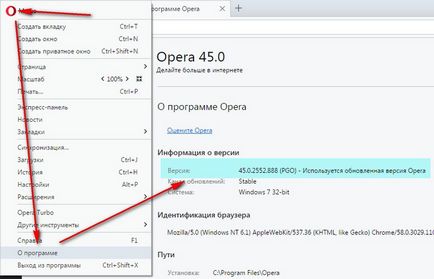 Защо не работи в Opera Adobe Flash Player - Как да се определи