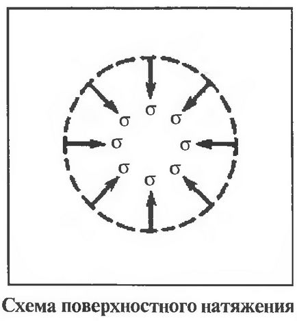 повърхностно напрежение