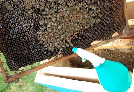 Подходящи резници образуване за увеличаване на пчелите пчелина