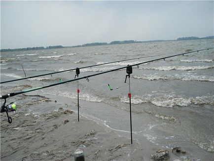 Рибарска стръв за шарани в езера Карасин - домашно риболов с ръцете си