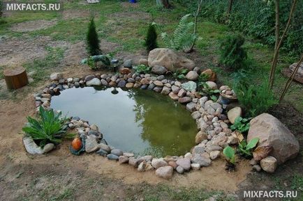 Езерцето на банята в страната със собствените си ръце (снимка)
