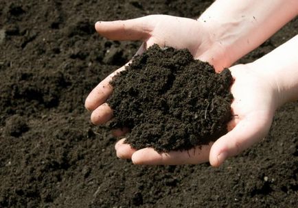 Дезоксидация почвата пружина