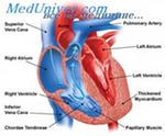 Дешифрирането ЕКГ синусова аритмия - лечение на сърцето