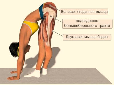 Разтягане на мускулите на бедрото, хип сухожилия домашно лечение, симптоми