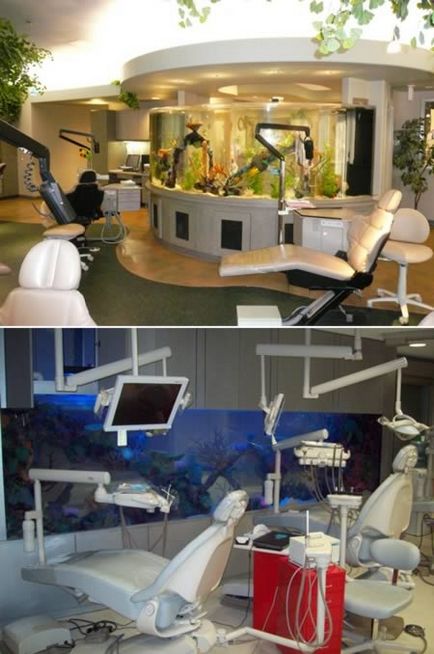 Най-творчески стоматологични клиники свят - хумор, да се отпуснете - новини и статии по стоматология