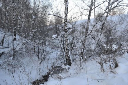 Светият ключ село носилка област Iskitimsk ДДС