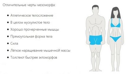 видове тялото, как да се идентифицират вашия тип тяло