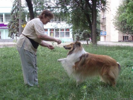 Осъществяване контакт с треньора на куче