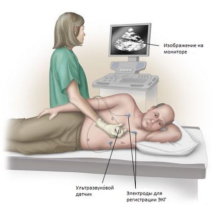 Узи на белите дробове и гръдния кош, който показва резултати за декодиране