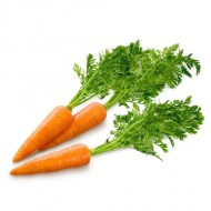Отглеждане моркови, торове, торене