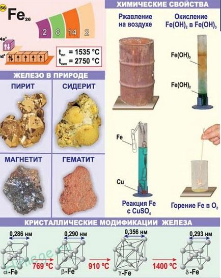 Желязо - обща характеристика клетка, химичните свойства на желязо и неговите съединения