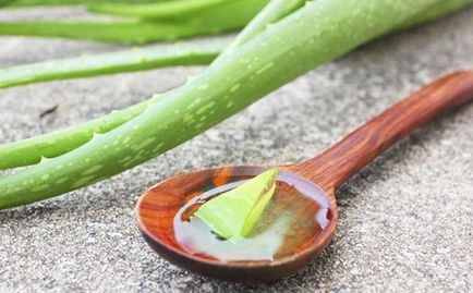 Това, което прави Aloe Това, което прави Aloe