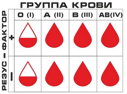 Кръвни групи