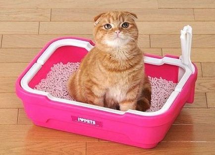 Анализ котка урина Анализ котка урина