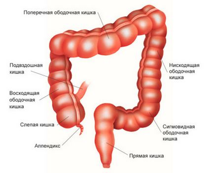 лечение заболяване на червата