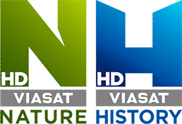 Какво е Viasat