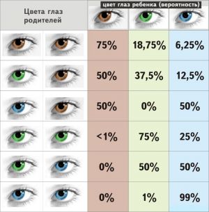Как мога да разбера цвета на очите на детето