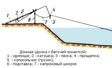 Какво е това магаре