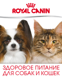 Храна за кучета Royal Canin