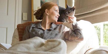 Които лекуват котки Които лекуват котки