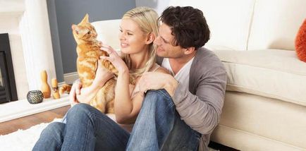 Които лекуват котки Които лекуват котки