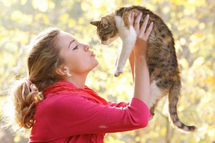 Които лекуват котки Които лекуват котки