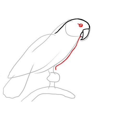 Как да се направи молив в етапа папагал