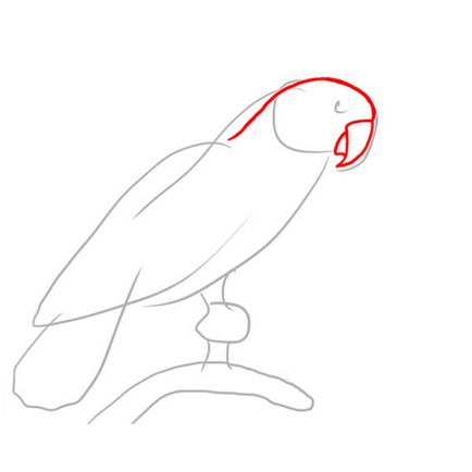 Как да се направи молив в етапа папагал