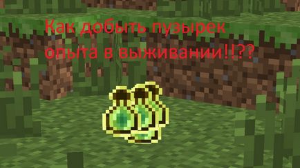 Как да си направим една бутилка опит Как да си направим една бутилка опит