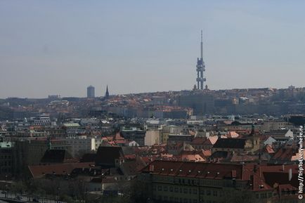 Че има Че има
