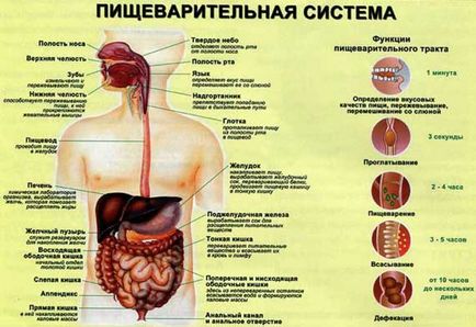 Какво да правите, ако не наддават на тегло