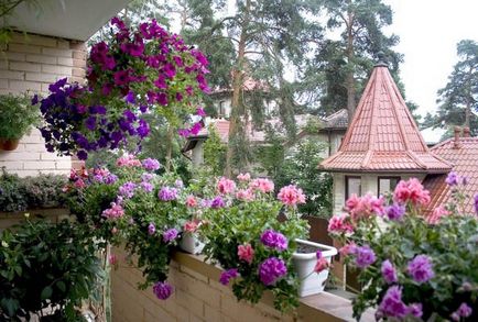 Цветя отглеждане на балкона