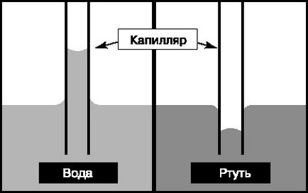 Защо водата се покачва Защо водата се покачва