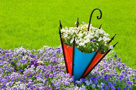 Как да украсят вашата градина