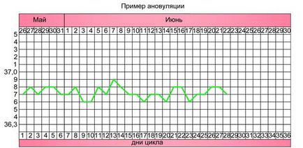 Ановулация какво е