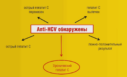 тест Hcv кръв какво е