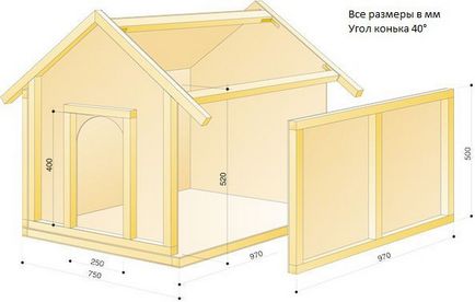 Как да направите дома си за кучета