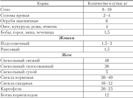 Как да се храни кравата