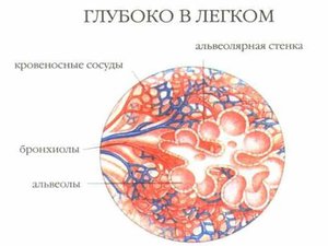 Какво е белодробна tuberculoma