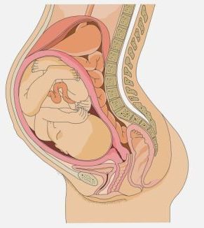 Хемороиди Лечение по време на бременност