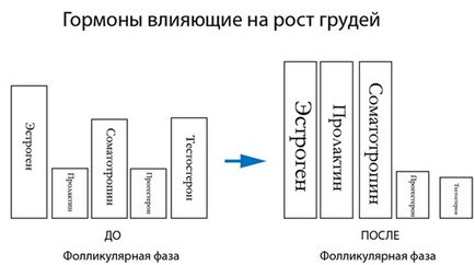 гръдните Хормоните