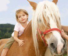 Информация за коне и тяхното третиране